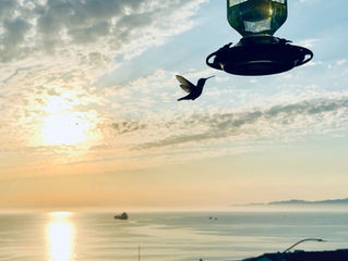 2026 Surf Art Calendar - Chris Blackadder