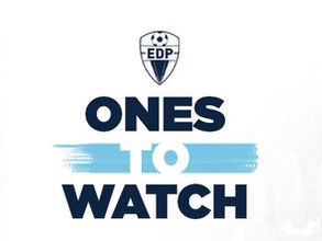 Hard Work and Leadership Qualities Spark Daniel Edelman's Professional Career