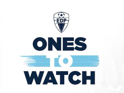 Hard Work and Leadership Qualities Spark Daniel Edelman's Professional Career