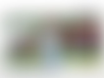 East Region - US Youth Soccer National League Conferences Fall 2022 Mid Season Review