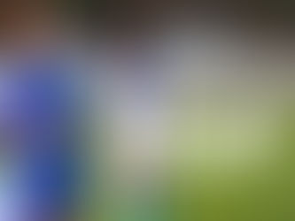 EDP Soccer Leagues Fall 2022 Recap