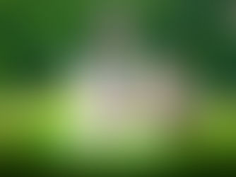 EDP Cup Spring Showcase 2025 Best XI Boys