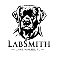 ChatGPT Image Feb 6, 2026, 04_53_12 PM.png