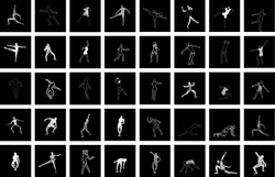 Collection_Transparent