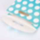 Thumbnail: Fashion Retail Packaging Paper Bags with Ribbon