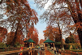 Best of Kashmir free Shikara Ride