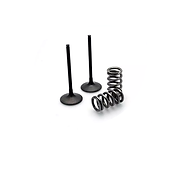 Kit Soupapes Acier ADMISSION - PROX