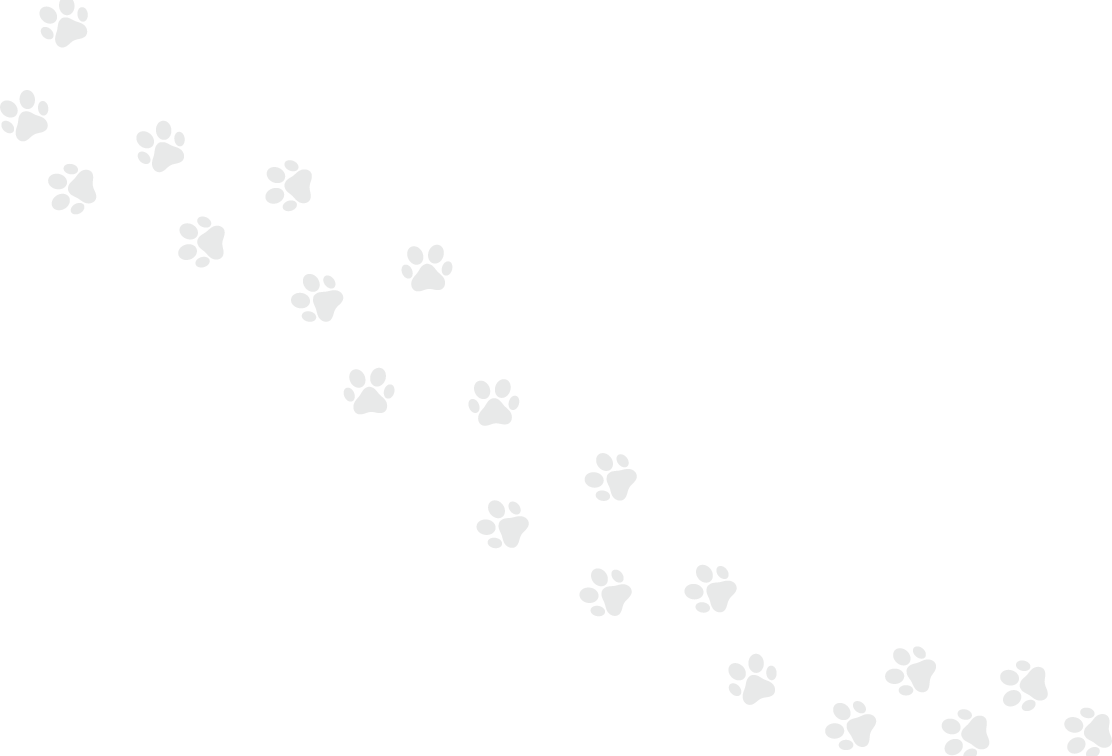 paw.png