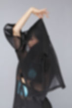 Modelling