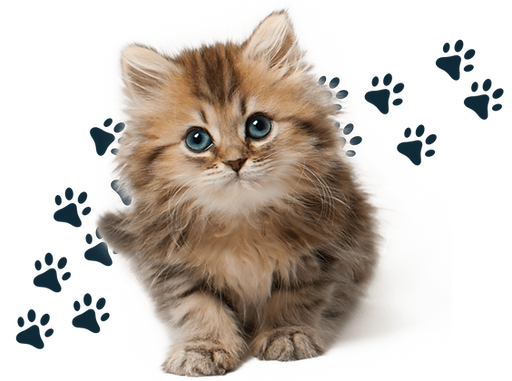 Green White Modern Beauty Products Seasonal Sale Banner (8).png