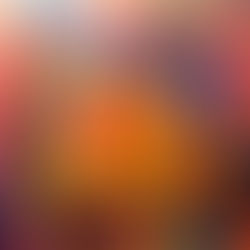 Es competeix com s'entrena... i com es viu