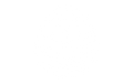 brain3.png