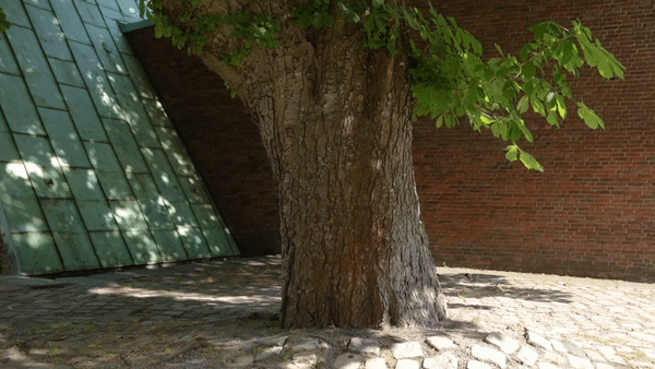 3e3f20b2-f278-4dd8-84d6-f75c811d297a.gif