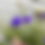 Thumbnail: Flower Arrangers Bucket
