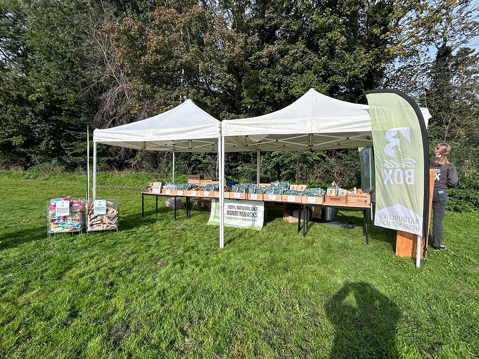 Bello Box stand