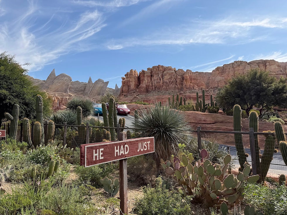 Radiator Springs Racers and Cars Land at Disney California Adventure