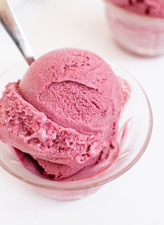 Blueberry Frozen Yoghurt
