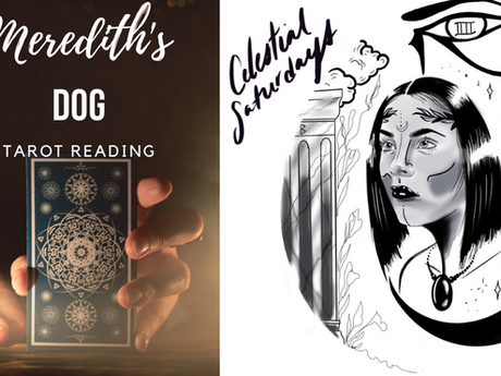 Celestial Saturday: Meredith's Dog Reading