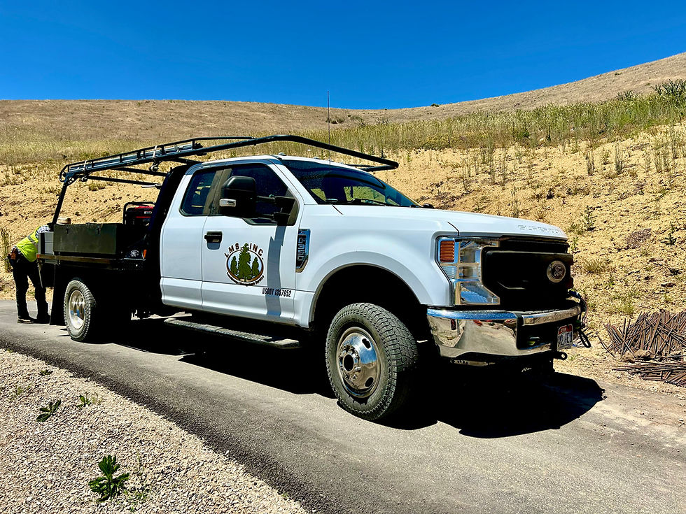 Landscape Management Service - Utah - LMS