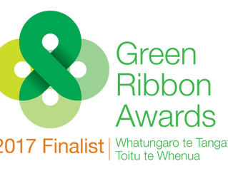 We're finalists in the 2017 Green Ribbon Awards for our Kokako work