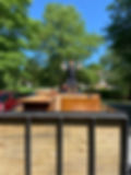 IMG_3746.jpeg