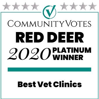 emergency vet red deer