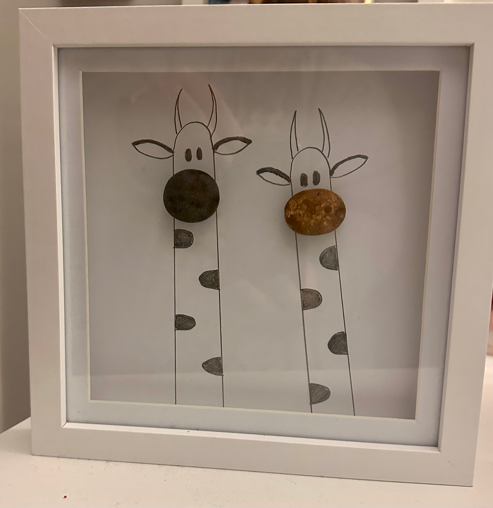 Thumbnail: GIRAFFES