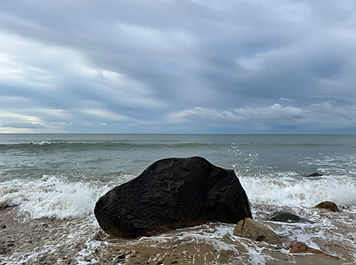 IMG_5589.jpg