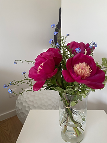 IMG_2837.HEIC