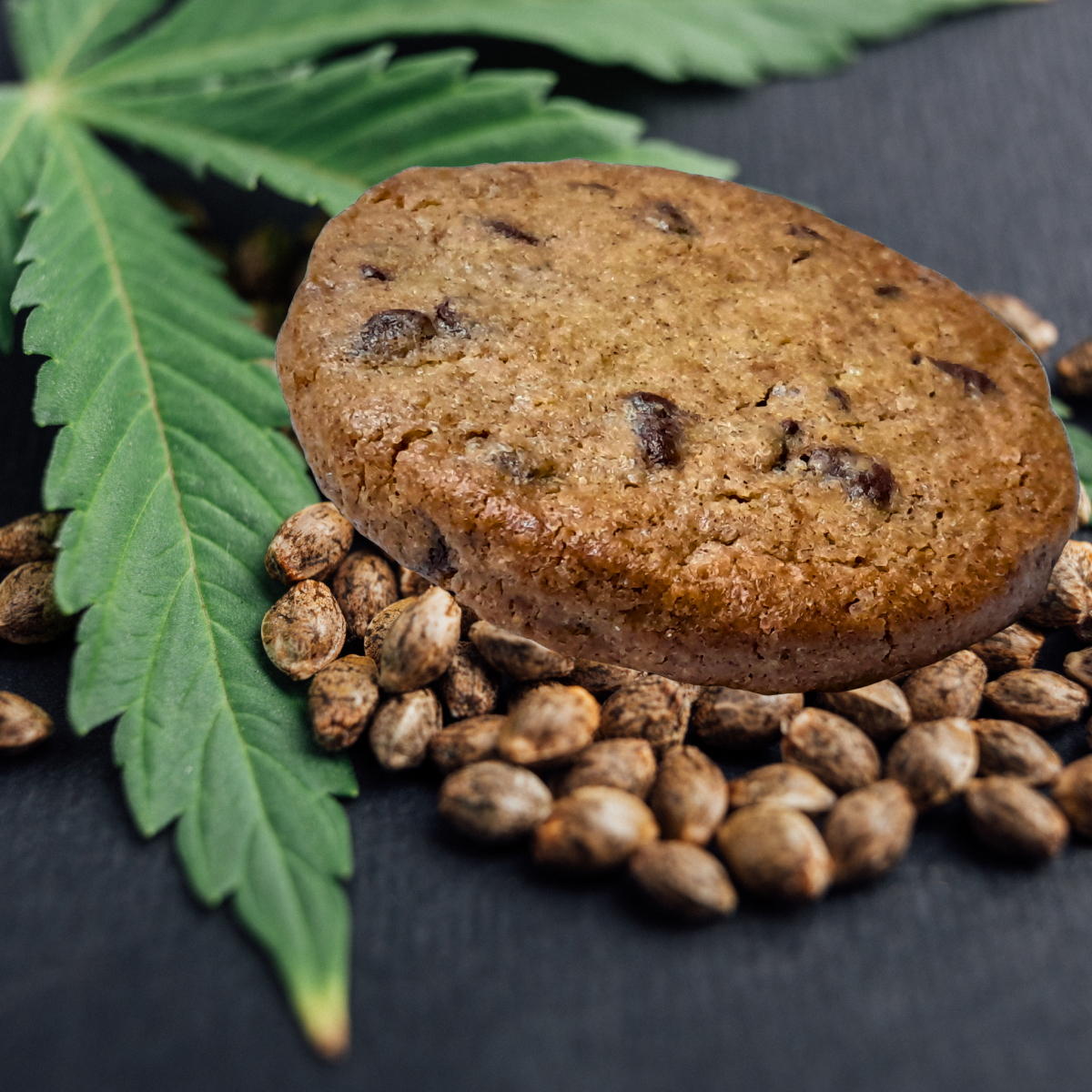 Sablés chanvre/pépites choco à l'unité (sous blister)