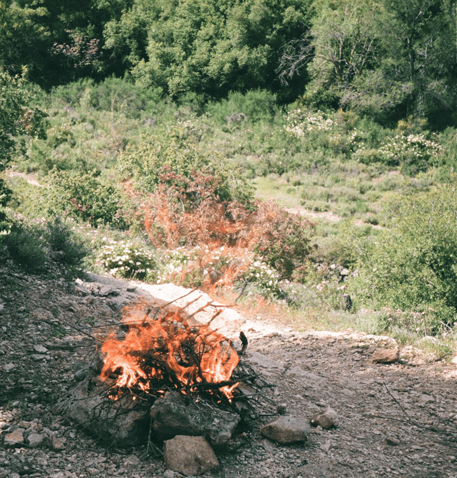 003-1704-2.gif