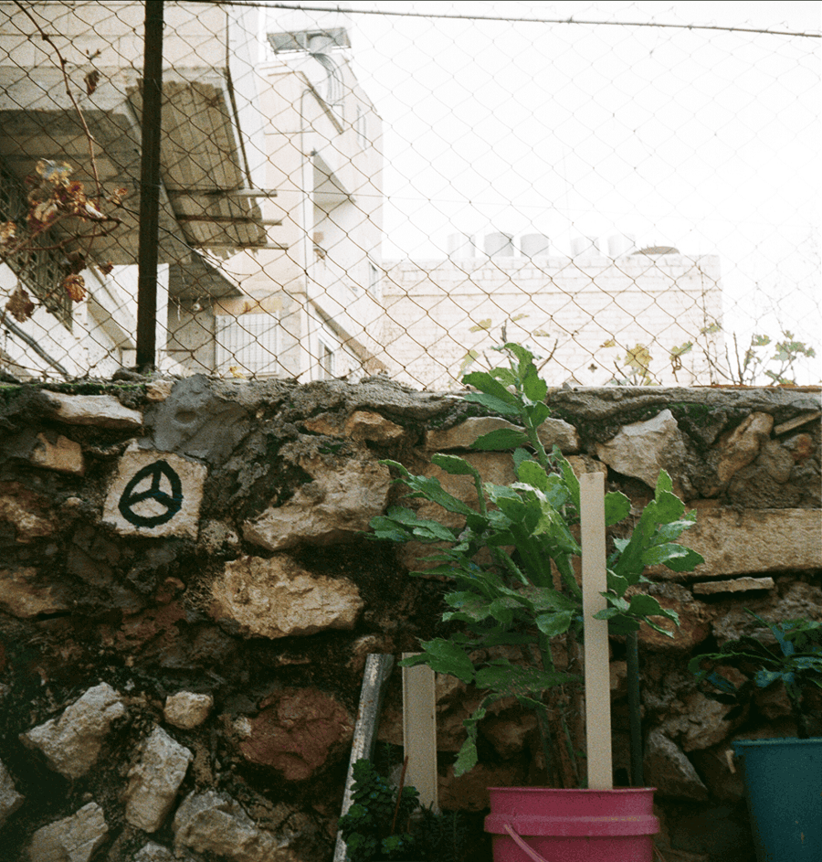 003-1704-2.gif