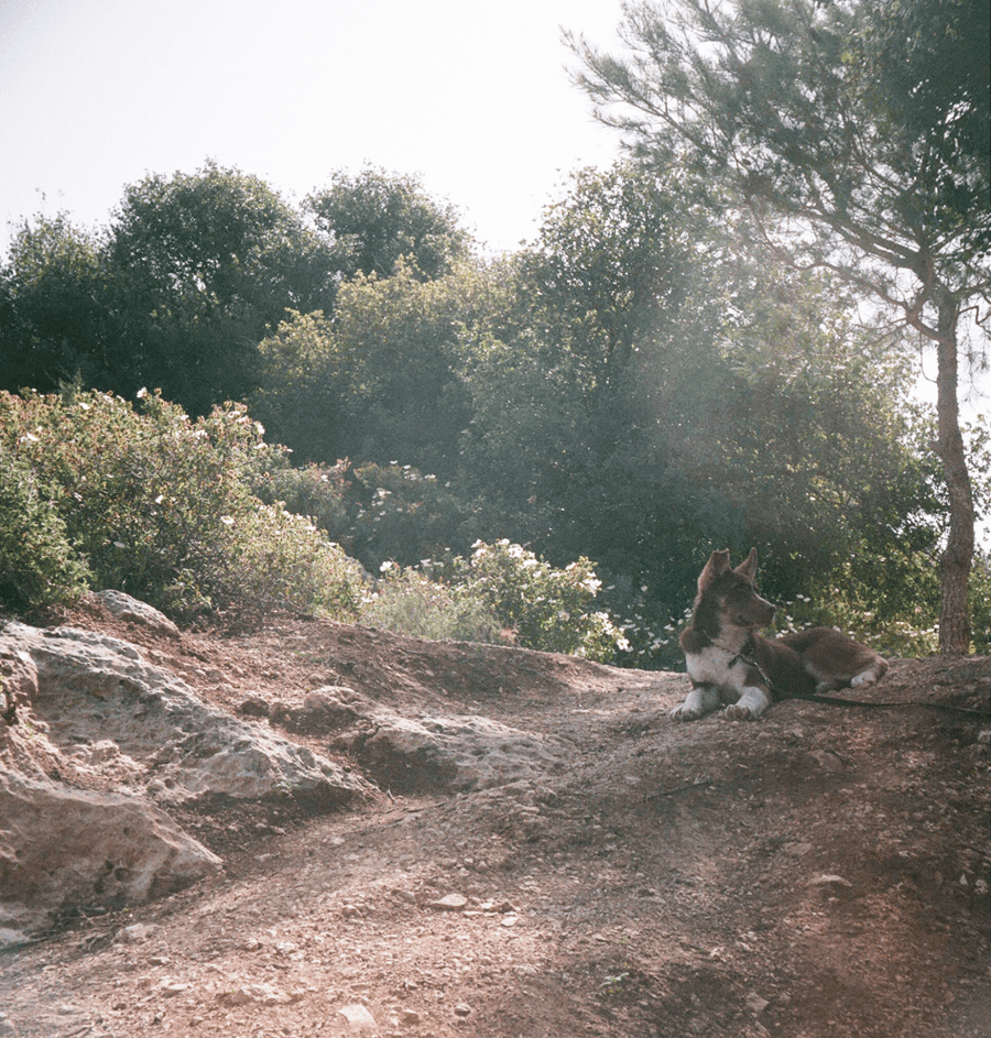 003-1704-2.gif