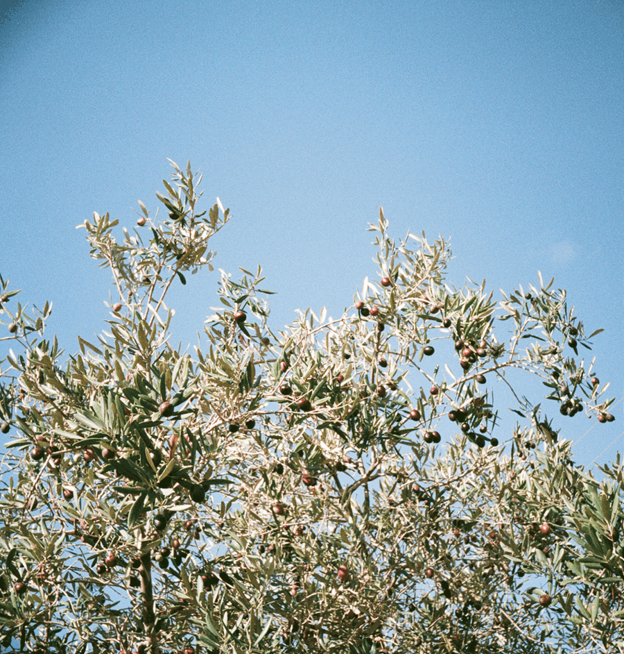 003-1704-2.gif