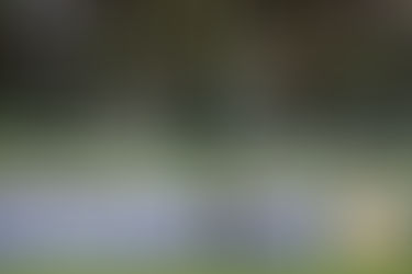Vitória é derrotado pelo América-MG derrota e cai na tabela