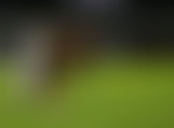 Vitória perde para Paraná em pleno Barradão e conquista boa vantagem
