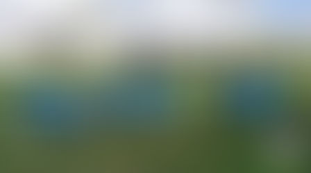 Apresentação da Seleção Coiteense Sub-15 teve conversa e treino