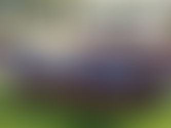 Bomba: presidente da Liga anuncia desistência da seleção de Monte Alto do Intermunicipal