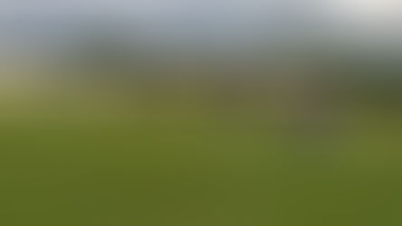 Seleção santoestevense inicia semana decisiva