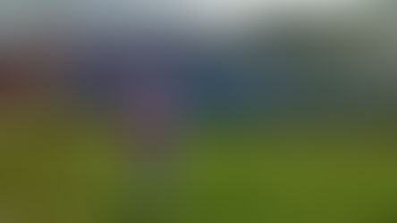 Inho Gambirra fica cada vez mais próximo de retornar aos gramados