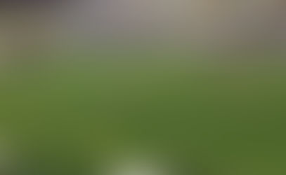 Série A: Bahia fica no empate na Arena Condá