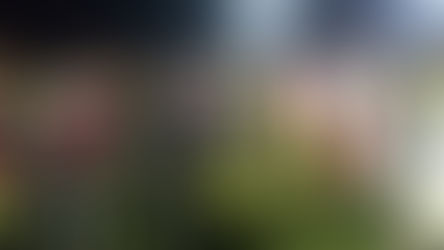 Seleção santoestevense retoma treinamentos após polemica