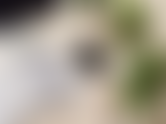 5 Healthy Habits Every Busy Woman and New Mama Should Adopt