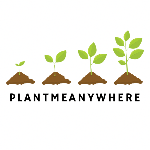 Writer: Walking Sunflower 