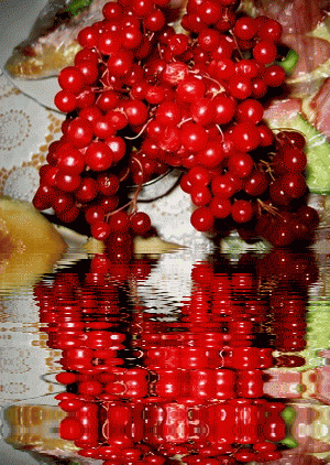 калина.gif