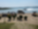 64dc9d66-1f56-4fe1-947e-be1c7b1abd3e.png