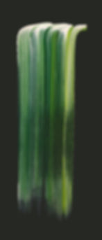 Miniatyrbilde: PRINT fossens vesen, 30x80cm