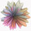 Thumbnail: Spectacular color eruption