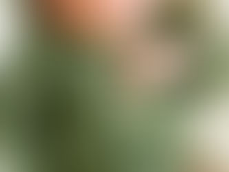 10 Tips for Newborn Lifestyle Sessions