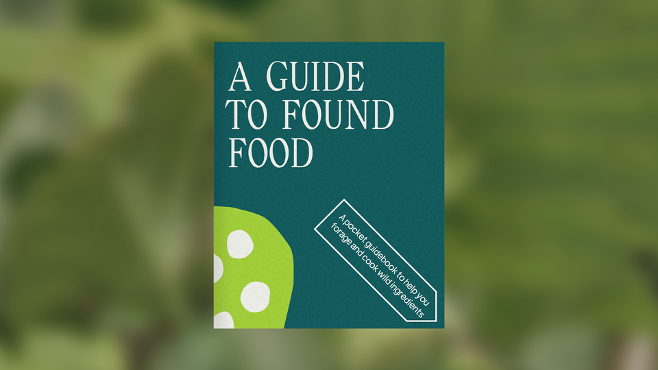 cover-guide-mockup.png